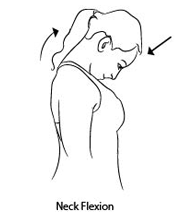 Neck flexion-Best Exercises for Spondylosis Relief