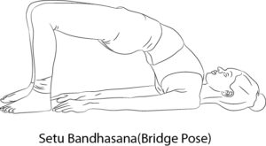 Setu Bandhasana( Bridge Pose)