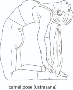 Yoga For Thyroid Patients