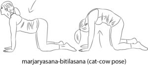 Yoga For Back Pain Relief