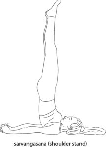 sarvangasana(shoulder_stand)