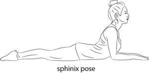 Sphinix Pose