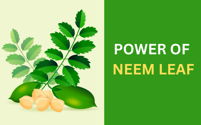 Health Benefits of Neem Leaf